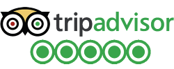 tripadvisor+reviews